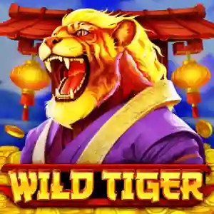 Wild Tiger by BGAMING, showcased at spin247.pl – game logo